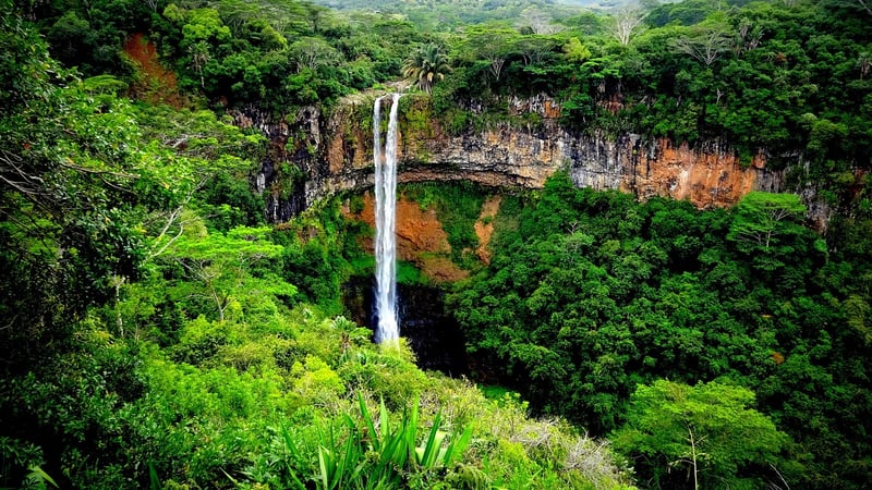 Jungle Hikes